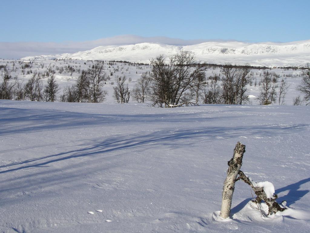 Birkelund Camping Geilo Exterior photo